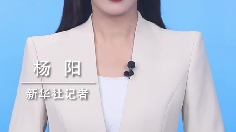 系统集成项目安装调试报价明细全解析**